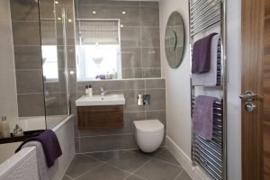 chestnut shadwell 18 sm.jpg